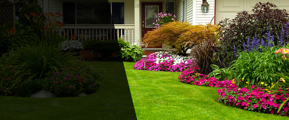 Santa Monica Landscapers