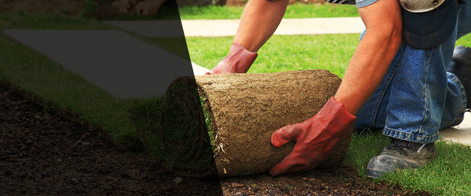 Santa Monica Landscapers